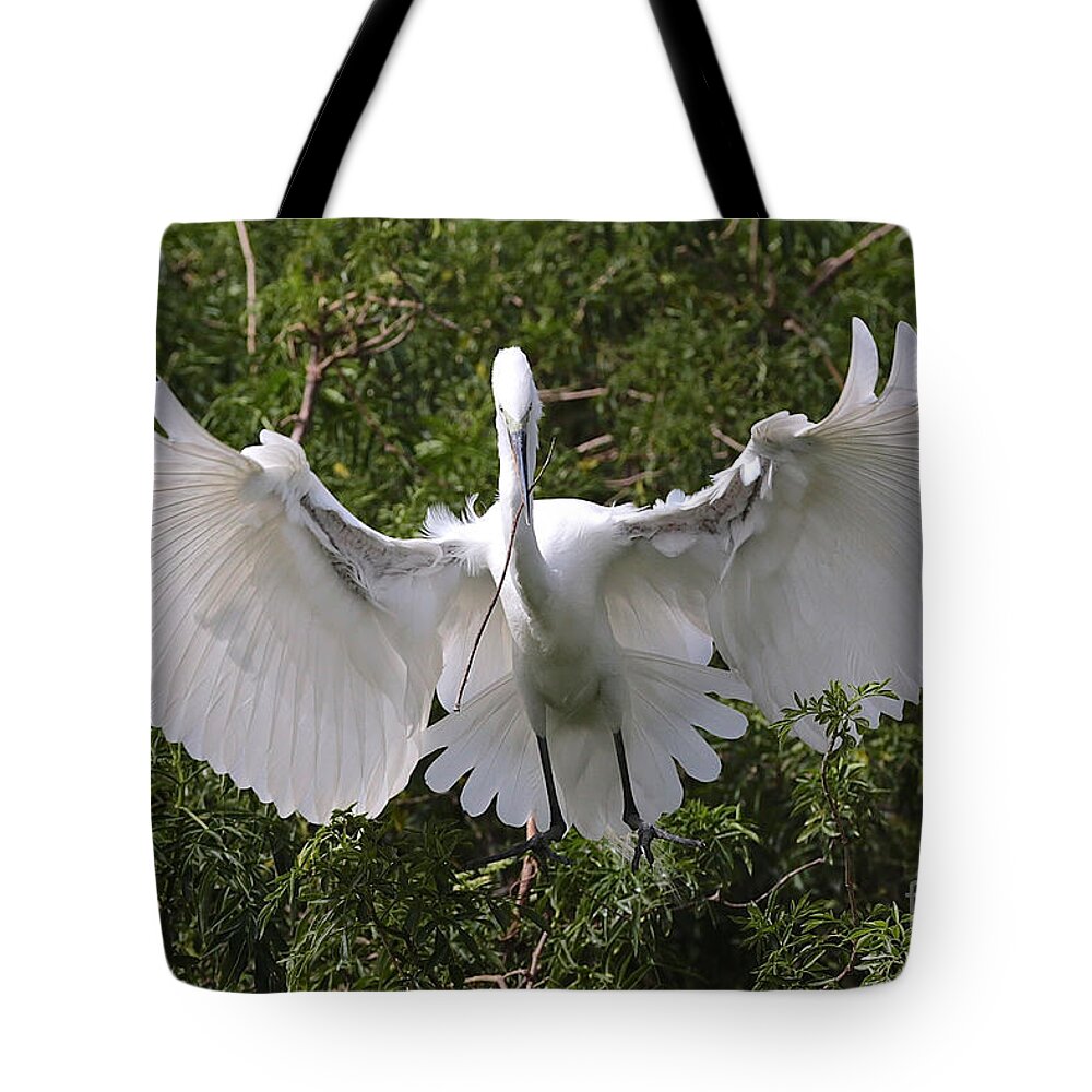 Beautiful Wings Tote Bag featuring the photograph Great Egret Nest Builder by Carol Groenen