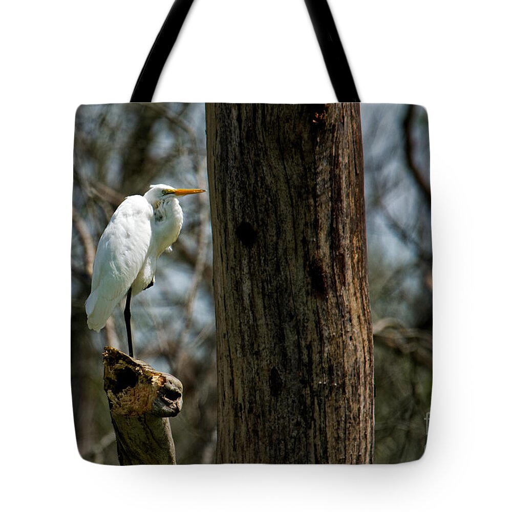Great Egret Tote Bag featuring the photograph Great Egret by Paul Mashburn
