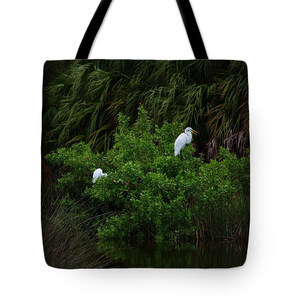 Great Egret Tote Bag featuring the photograph Great Egrets by James Granberry