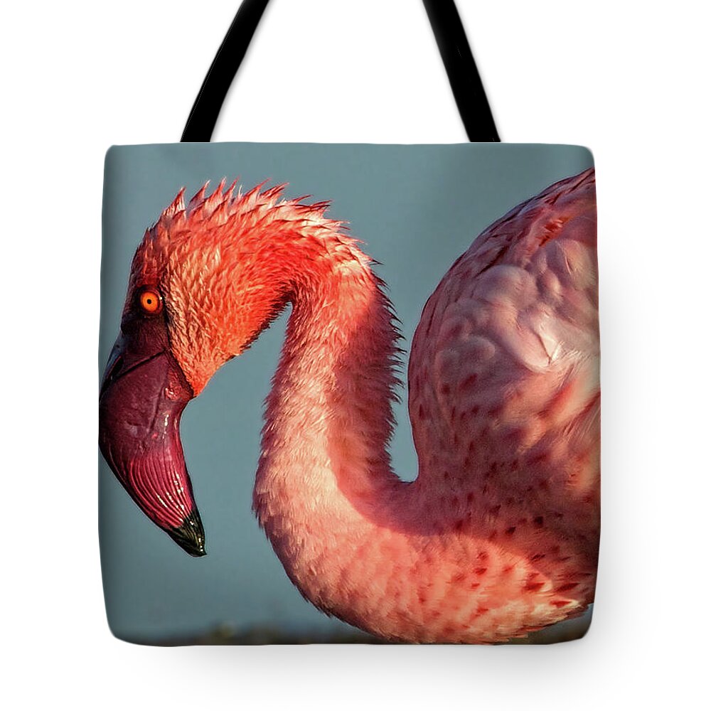 Red Tote Bag featuring the photograph Great Flamingo at Lake Nakuru by Steven Upton