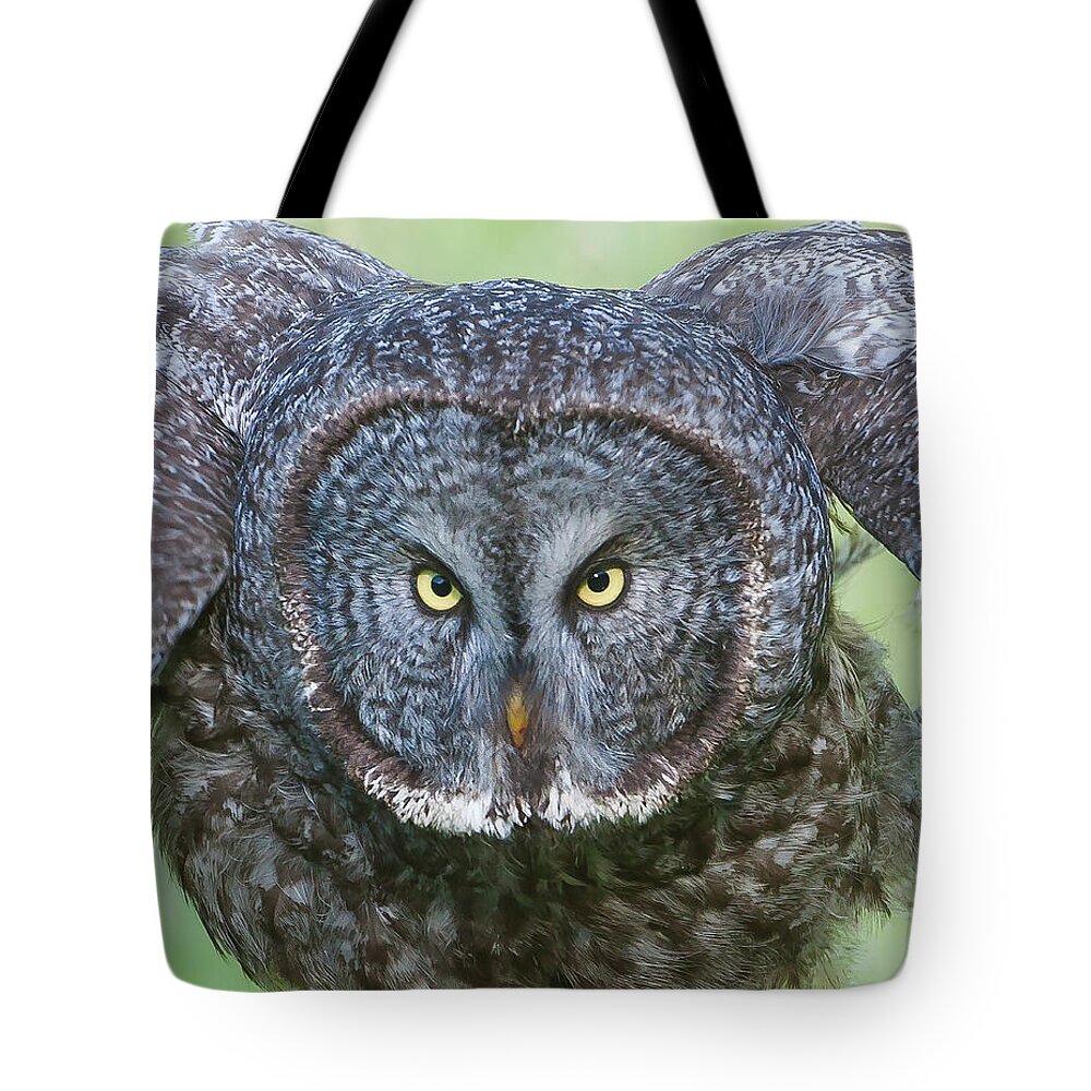 Mark Miller Photos Tote Bag featuring the photograph Great Gray Owl Flight Portrait by Mark Miller