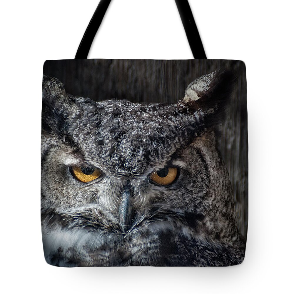 Animal Ark Tote Bag featuring the photograph Great Horned Owl by Rick Mosher
