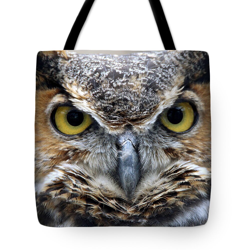Great Horned Owl Tote Bag featuring the photograph Great Horned Owl Smithtown New York by Bob Savage