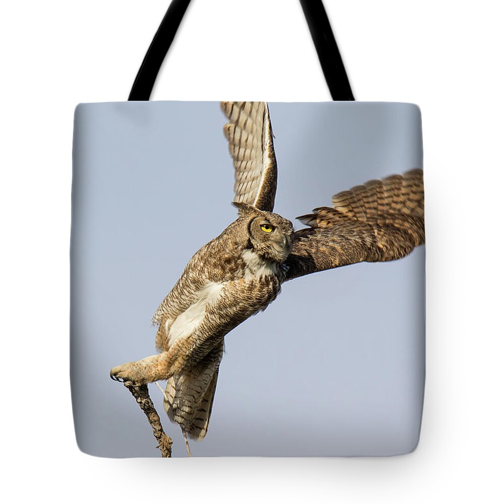 Owl Tote Bag featuring the photograph Great Horned Owl Spreads Its Wings by Tony Hake