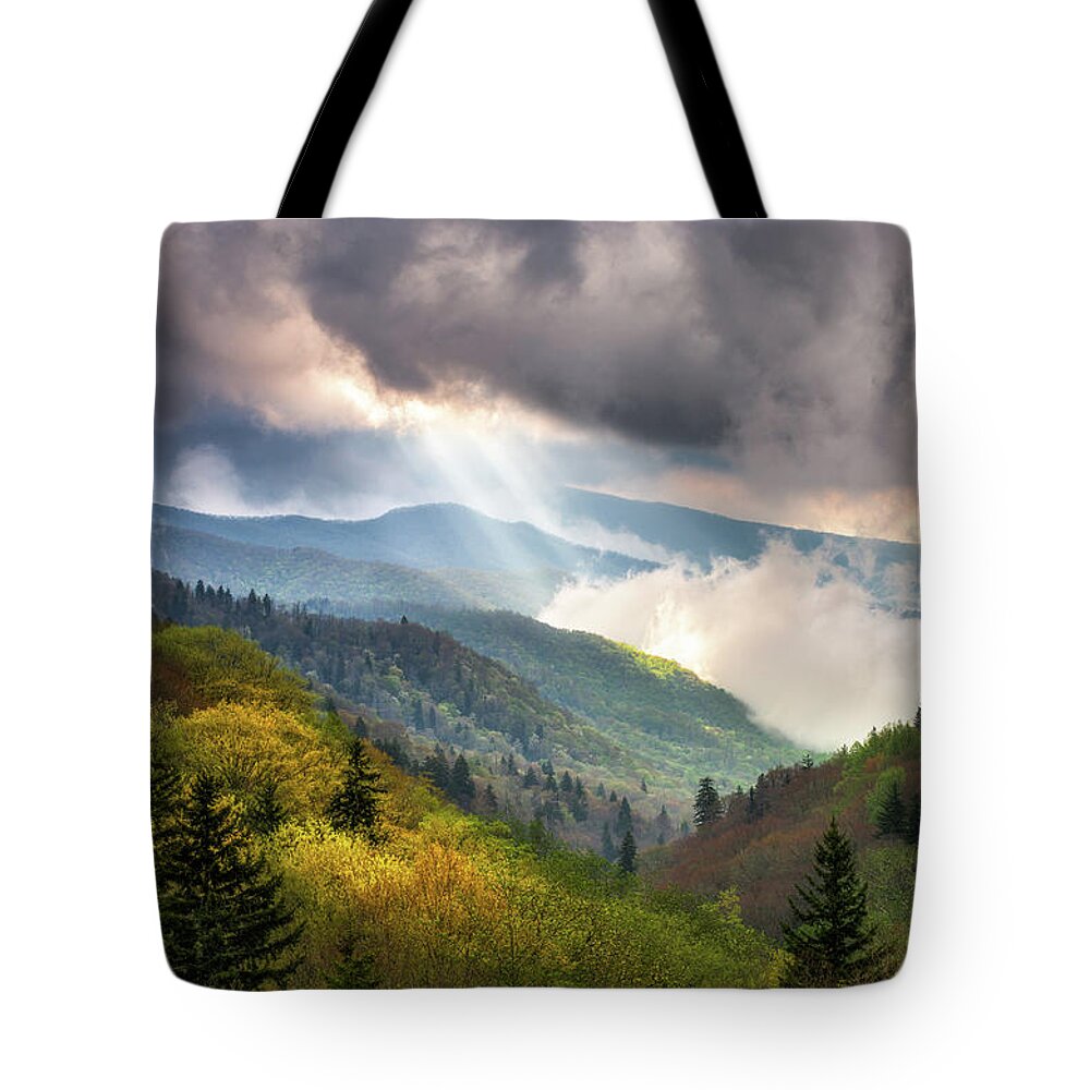 Great Smoky Mountains Tote Bag featuring the photograph Great Smoky Mountains National Park Scenic Landscape Gatlinburg TN by Dave Allen