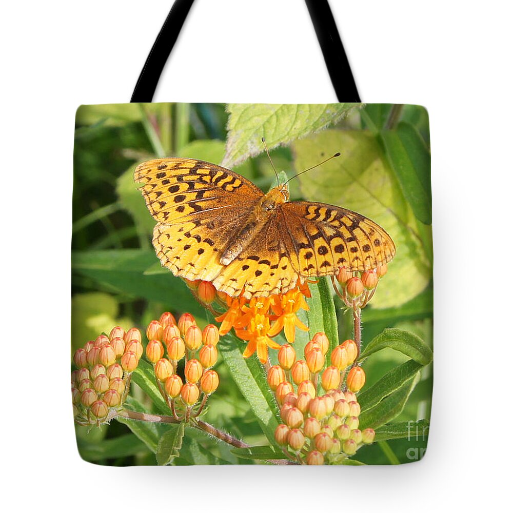 Butterfly Tote Bag featuring the photograph Great Spangled Fritillary on Butterfly Weed by Robert E Alter Reflections of Infinity