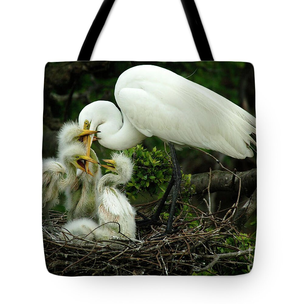 Majestic Great Egret Tote Bag featuring the photograph Majestic Great White Egret High Island Texas 9 by Bob Christopher