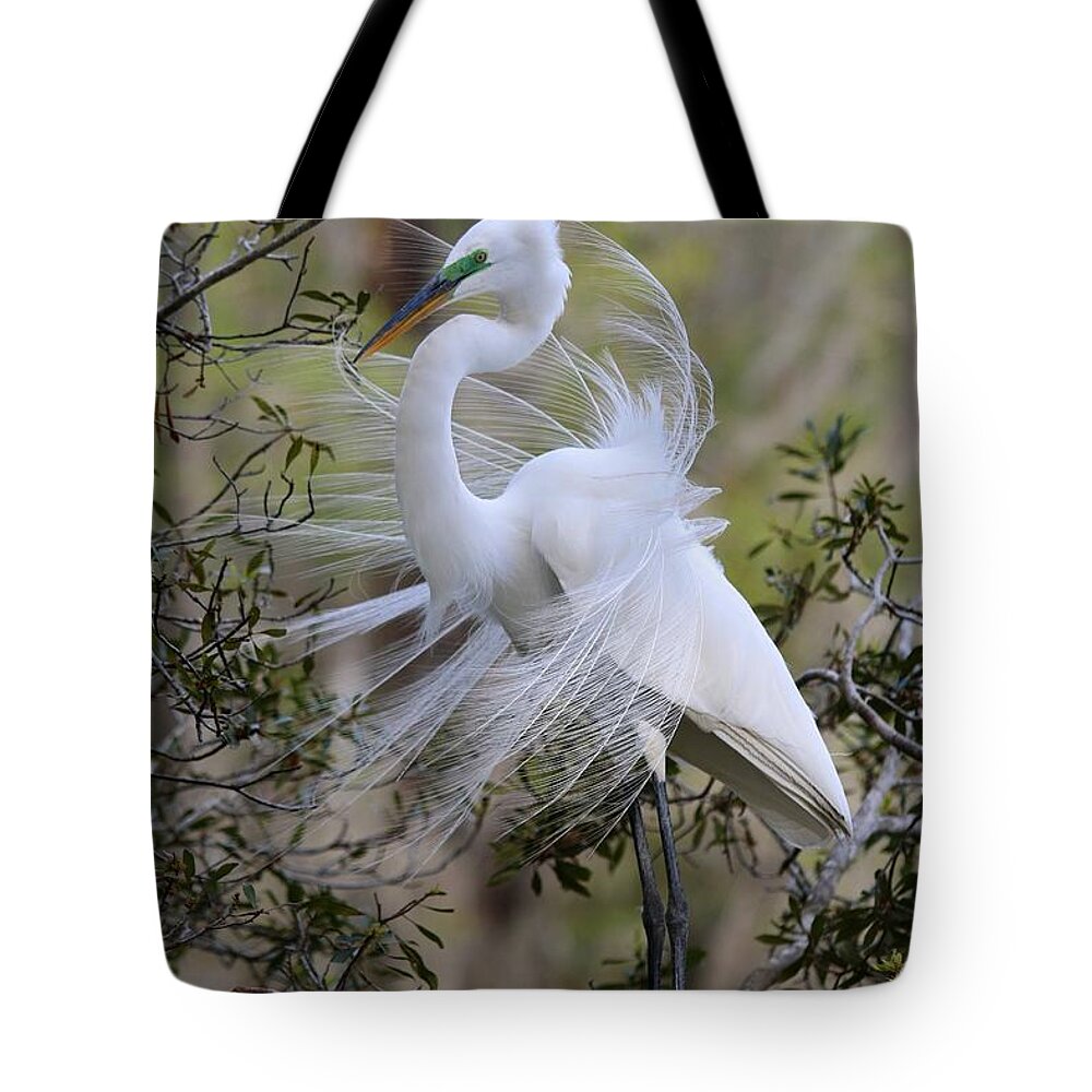 Great White Egret Tote Bag featuring the photograph Great White Egret IV by Carol Montoya