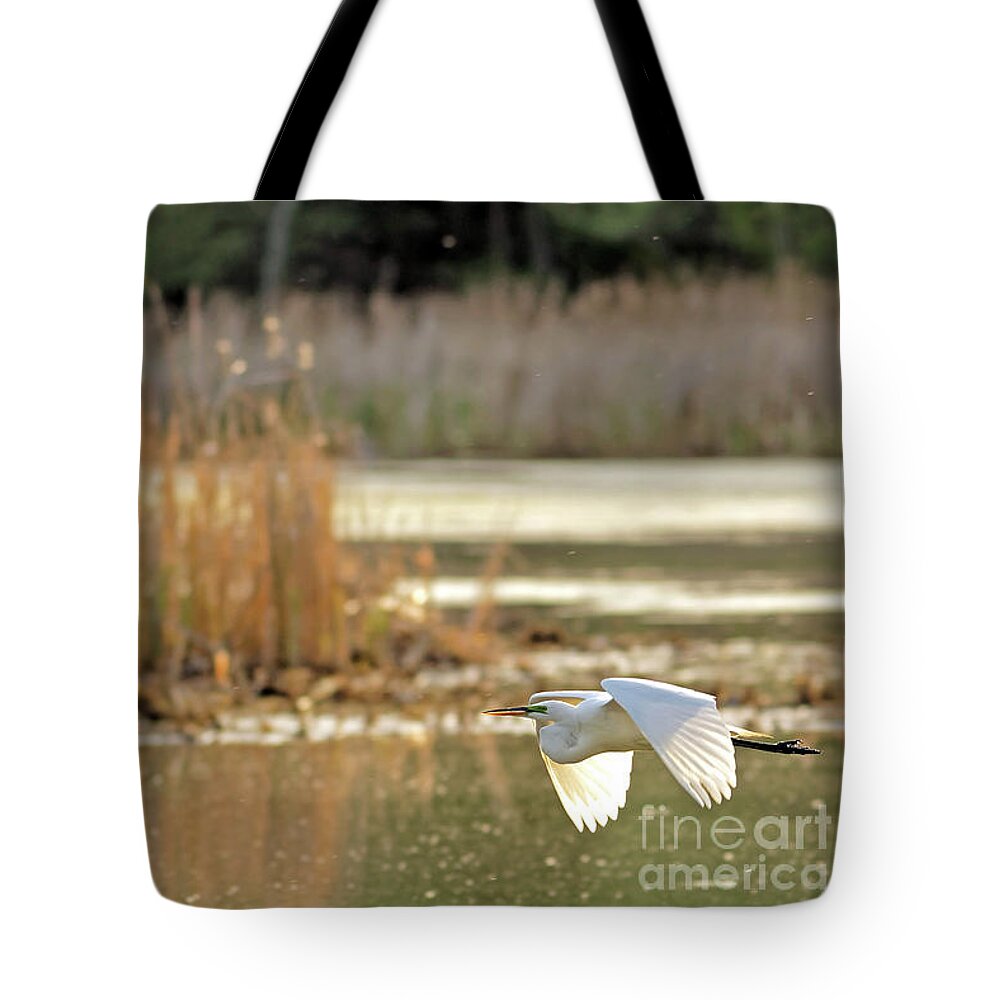 Great White Heron Tote Bag featuring the photograph Great White Heron Over the Lake by Natural Focal Point Photography
