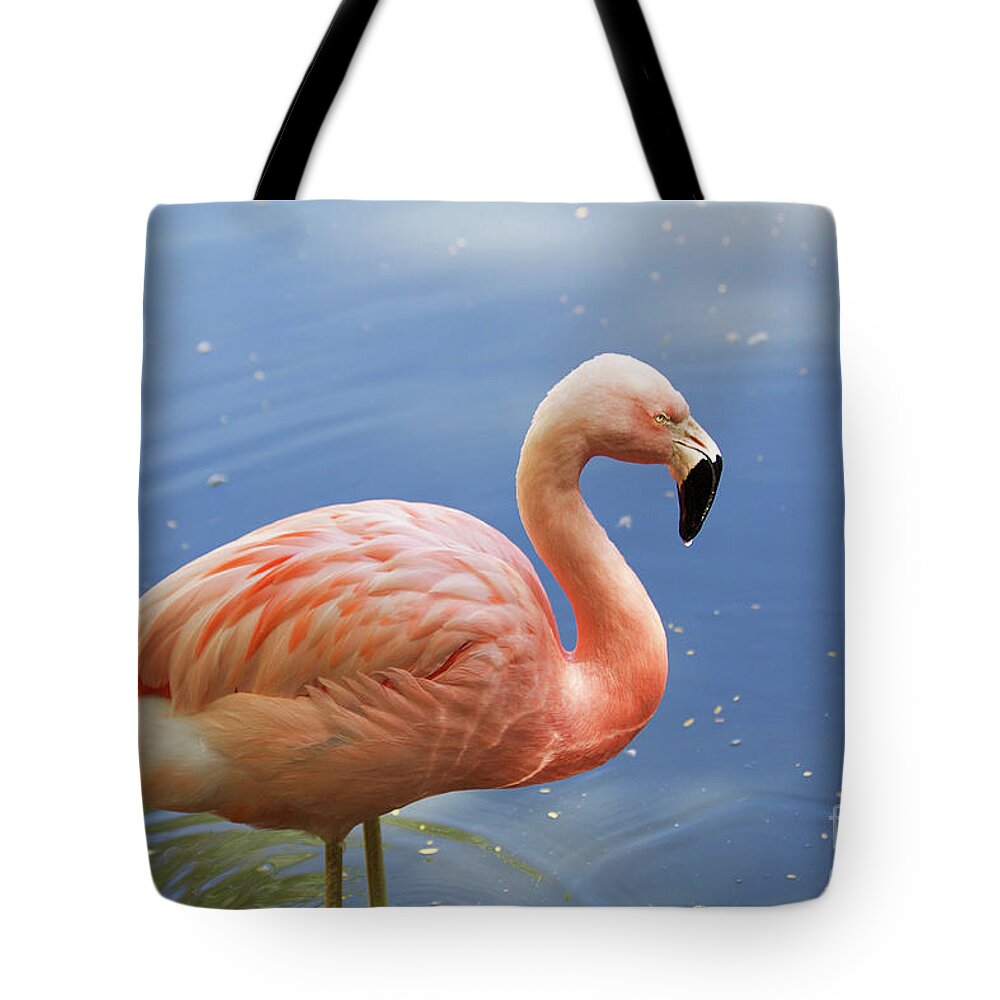 Digital Photography Tote Bag featuring the photograph Greater Flamingo by Afrodita Ellerman