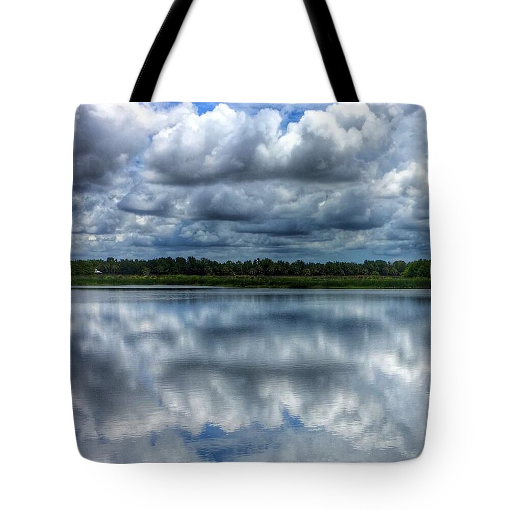  Tote Bag featuring the photograph Green Cay Blues Boynton Beach Florida by Lawrence S Richardson Jr