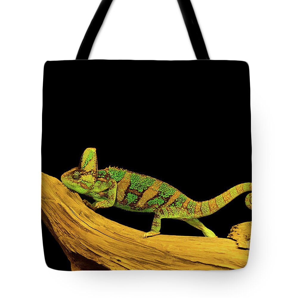 Background Tote Bag featuring the photograph Green Chameleon by Les Palenik