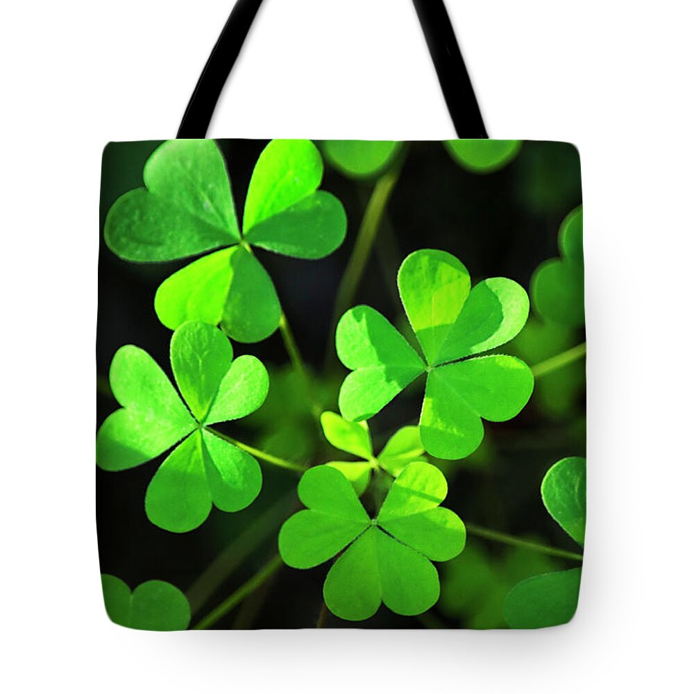 Clover Tote Bag featuring the photograph Green Clover by Christina Rollo