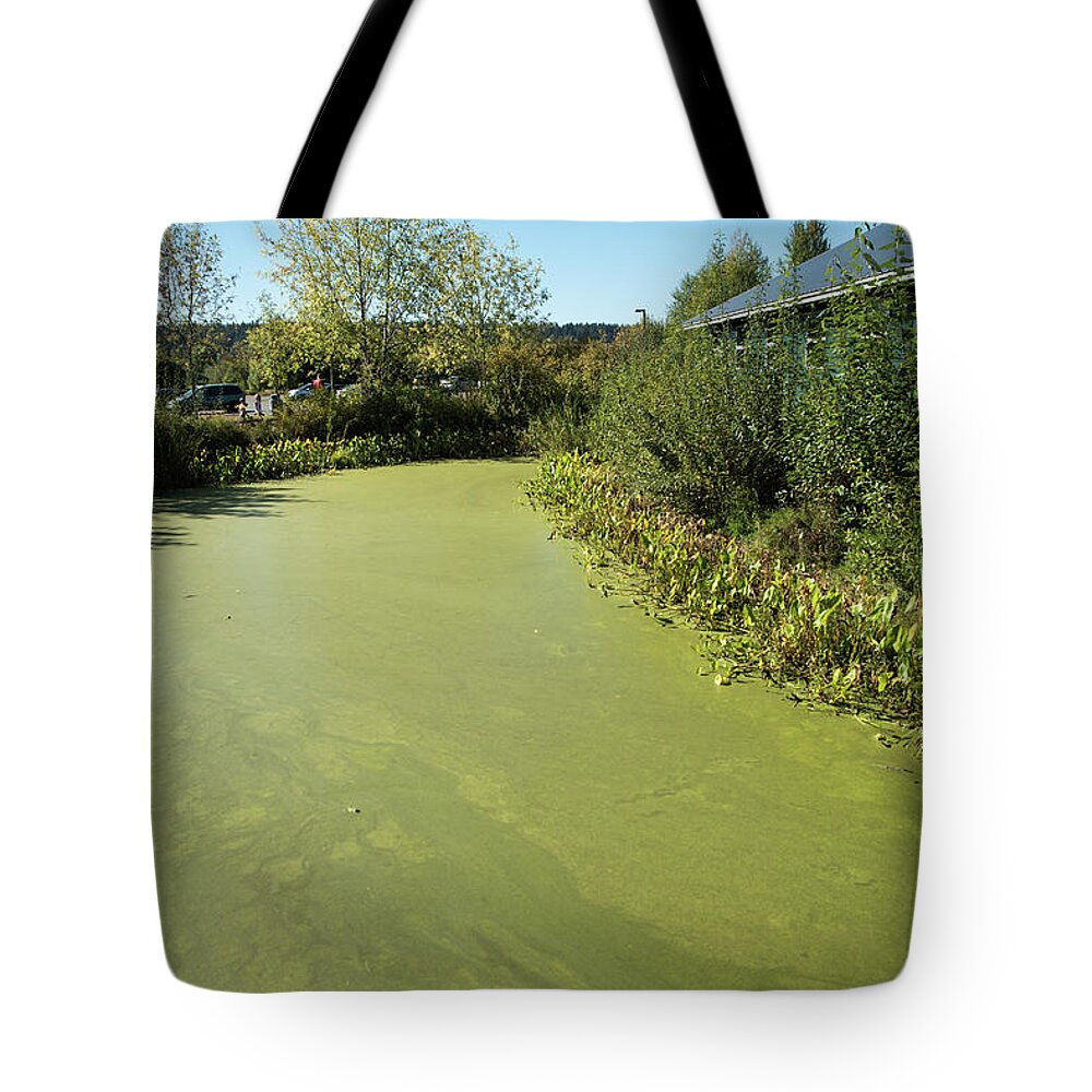 Green Ditch And Visitor Center Tote Bag featuring the photograph Green Ditch and Visitor Center by Tom Cochran