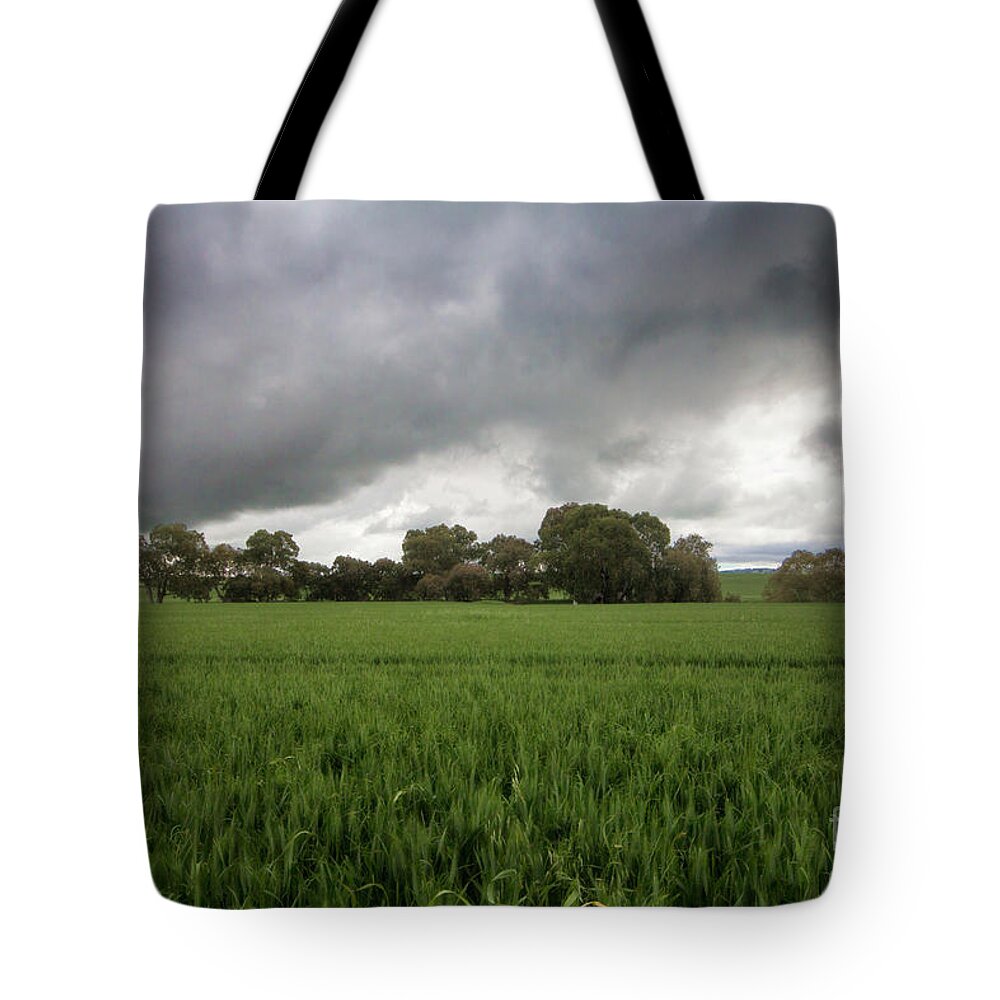 Green Tote Bag featuring the photograph Green Fields 5 by Douglas Barnard