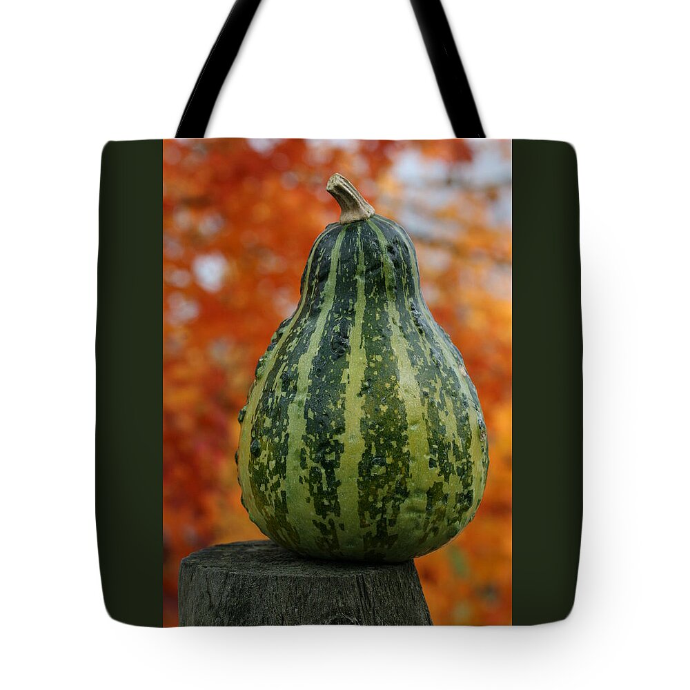 Gourd Tote Bag featuring the photograph Green Gourd Balance by Tammy Pool