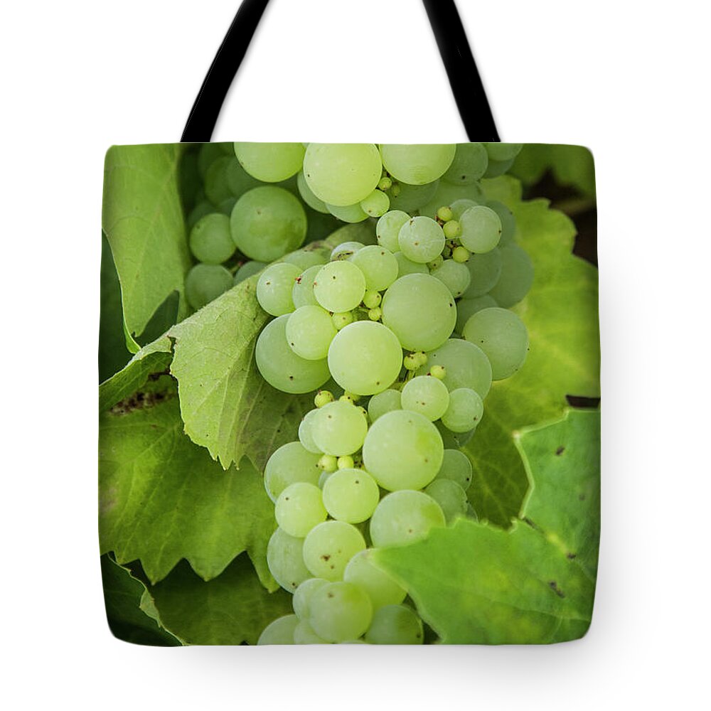 Wine Tote Bag featuring the photograph Green Grapes and Leaves by Susan Bandy