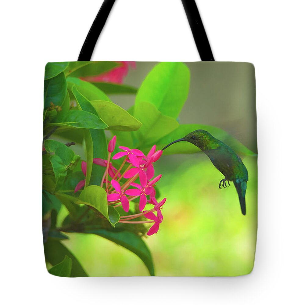 20170824 Tote Bag featuring the photograph Green Hummingbird on Red Flowers USVI by Jeff at JSJ Photography