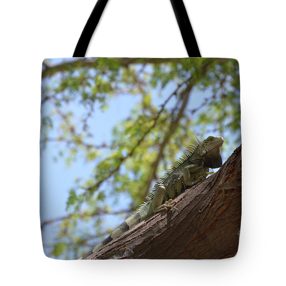 Iguana Tote Bag featuring the photograph Green Iguana Climbing up the Trunk of a Tree by DejaVu Designs
