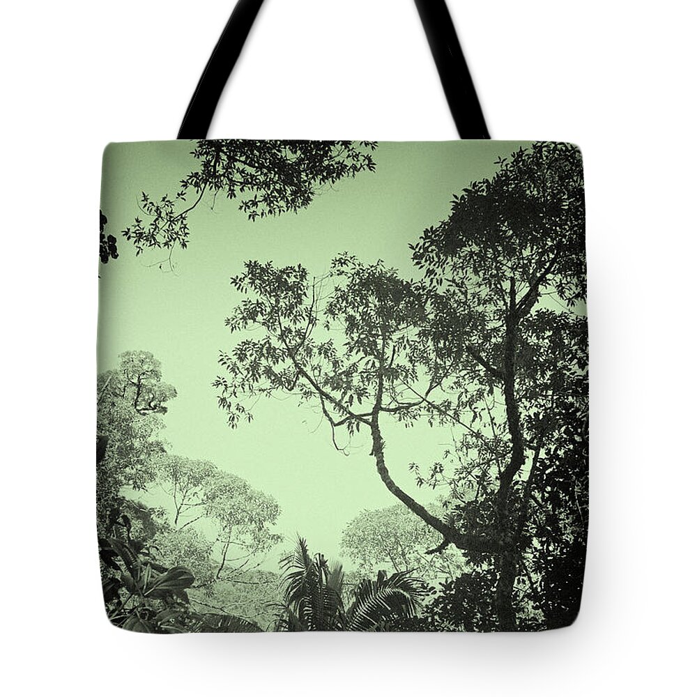 Prott Tote Bag featuring the photograph Green Jungle by Rudi Prott