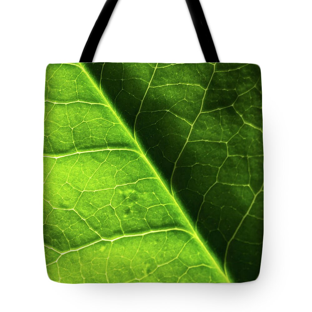 Leaf Tote Bag featuring the photograph Green Leaf Veins by Ana V Ramirez