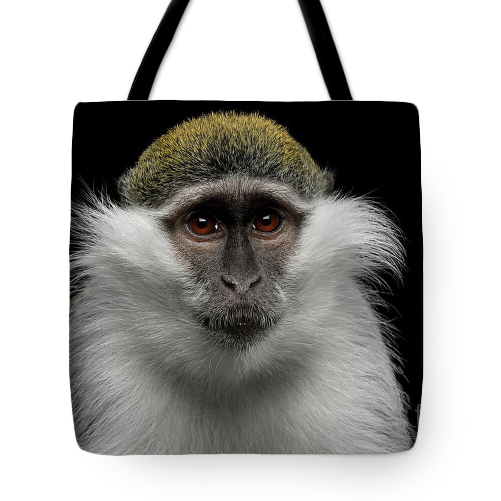 Portrait Tote Bag featuring the photograph Green Monkey by Sergey Taran