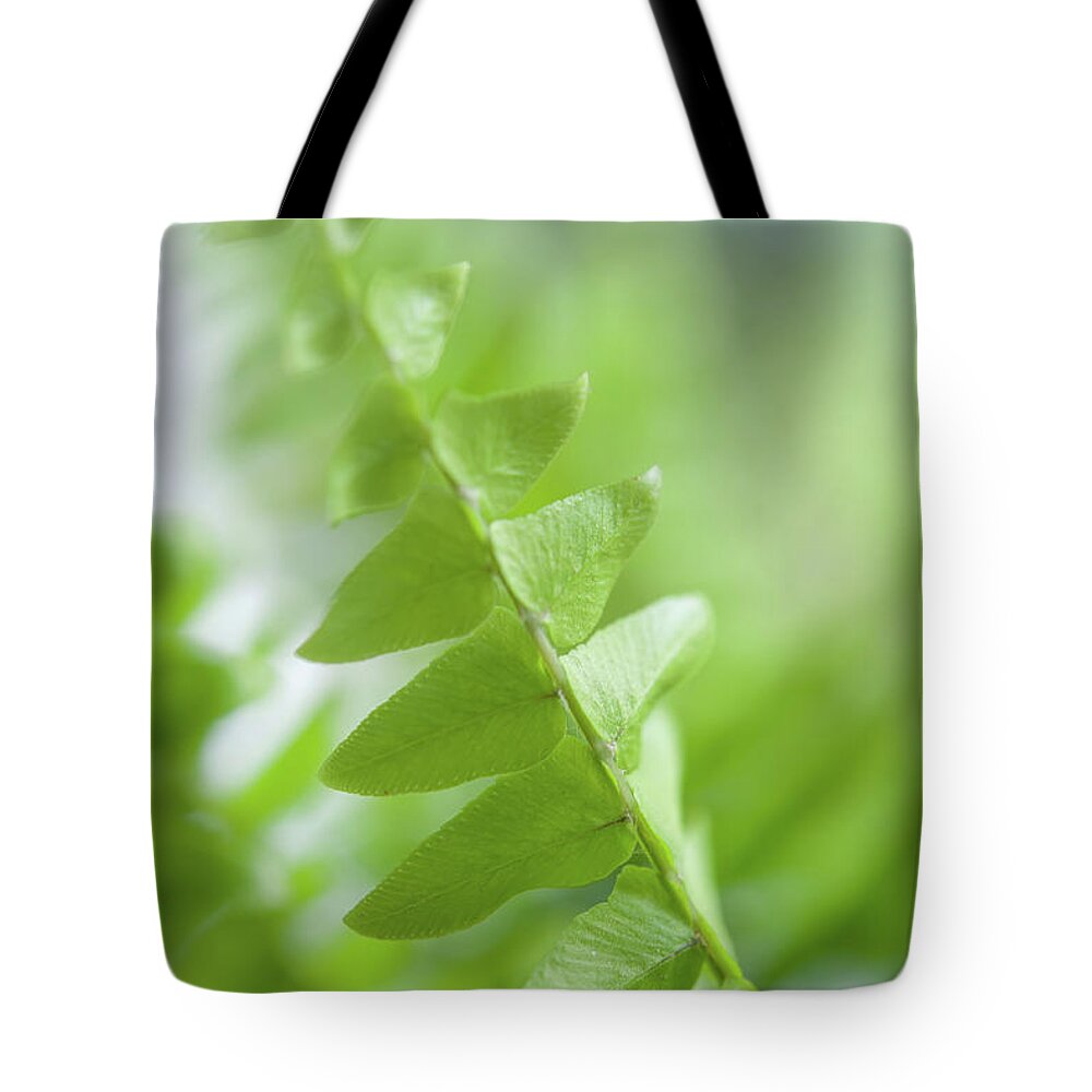 Jenny Rainbow Fine Art Photography Tote Bag featuring the photograph Green Patterns by Jenny Rainbow