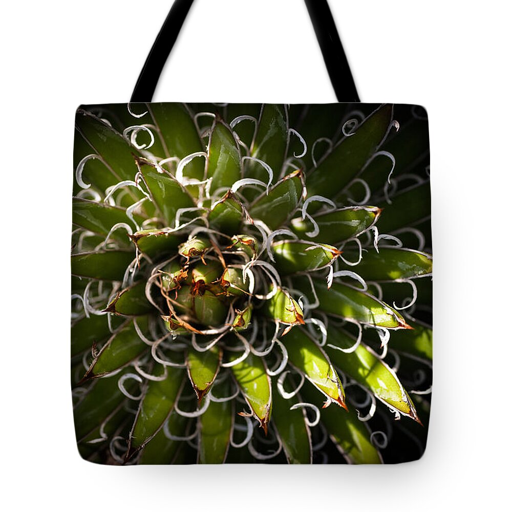 Pant Tote Bag featuring the photograph Green Plant by Catherine Lau