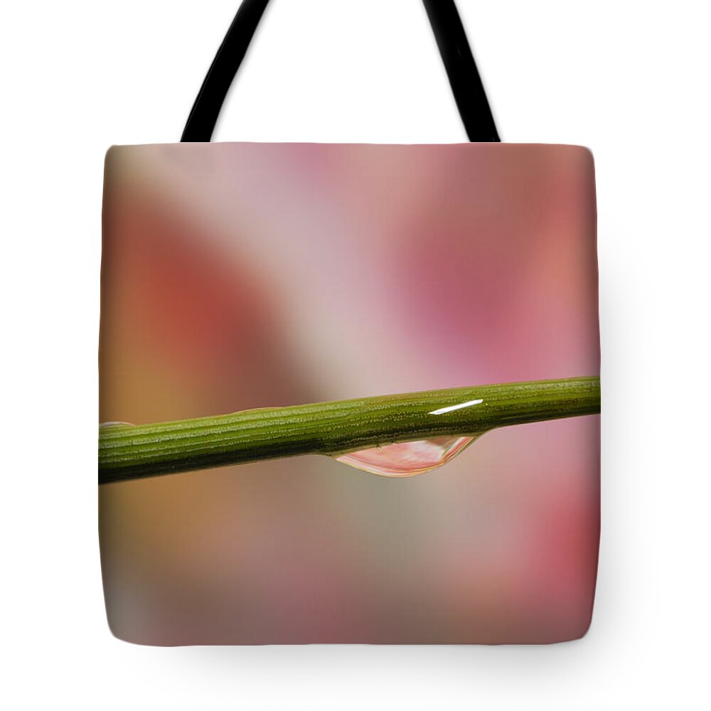 Macro Tote Bag featuring the photograph Green Stem by Arthur Fix