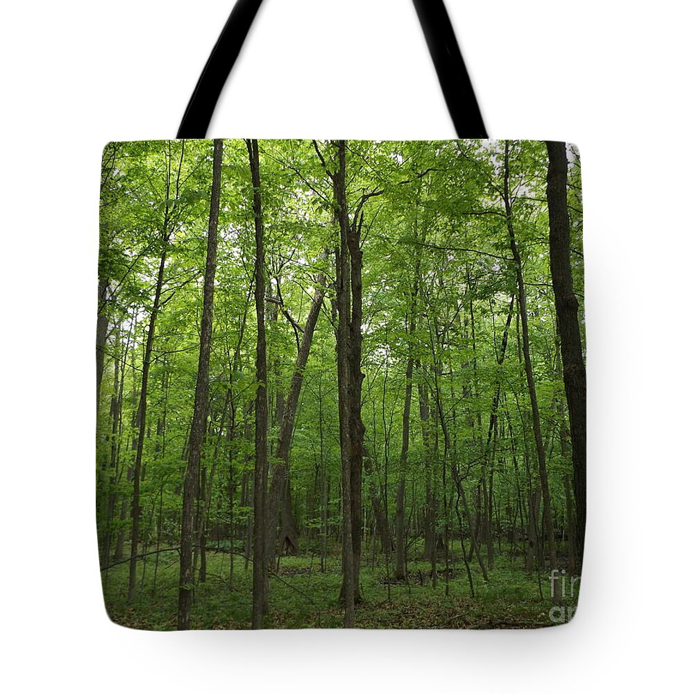 Trees Tote Bag featuring the photograph Green Trees by Erick Schmidt