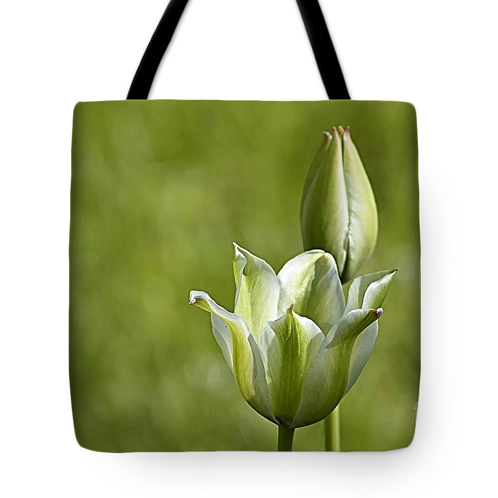 Flower Tote Bag featuring the photograph Green Tulips by Teresa Zieba