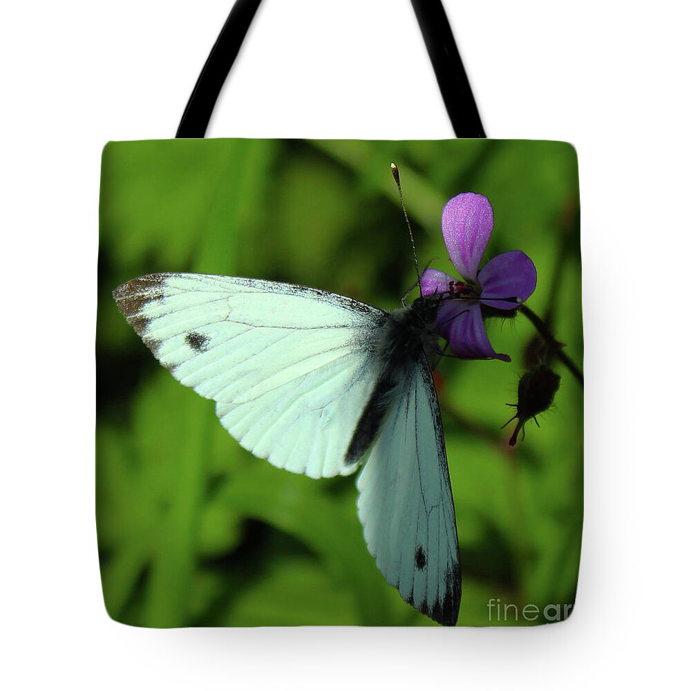 Donegal On Your Wall Tote Bag featuring the photograph Green-Veined White Butterfly Donegal by Eddie Barron