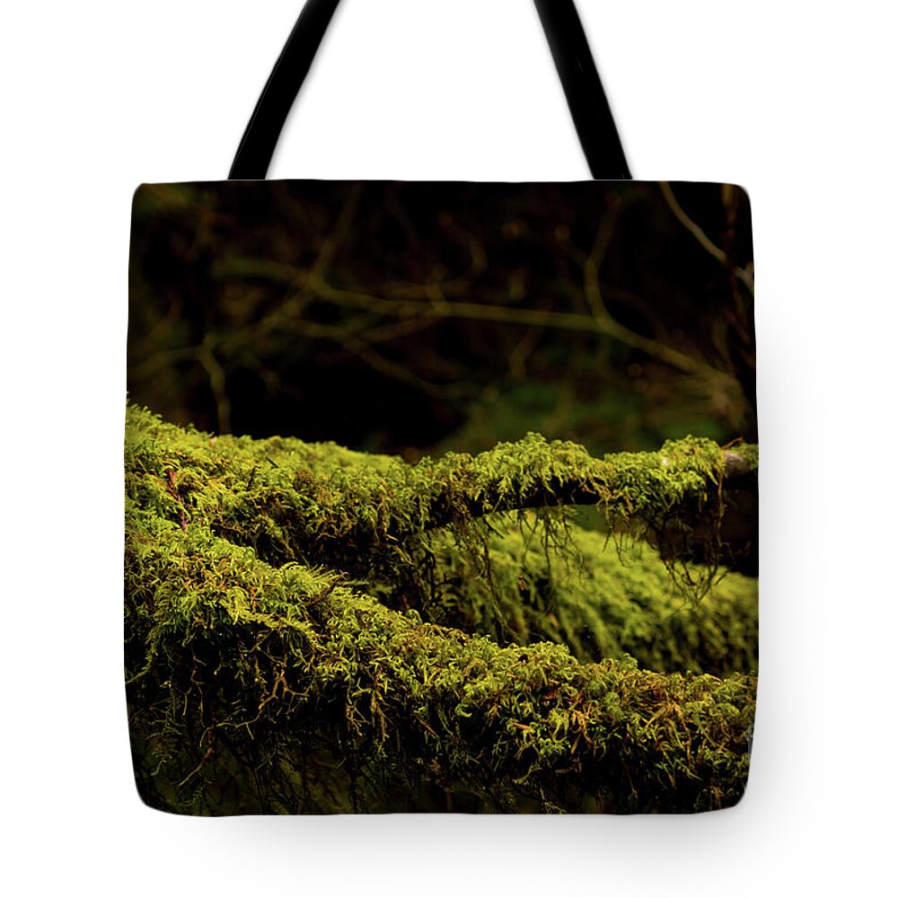 Capilano Suspension Bridge Tote Bag featuring the photograph Green Wood by Ivete Basso Photography