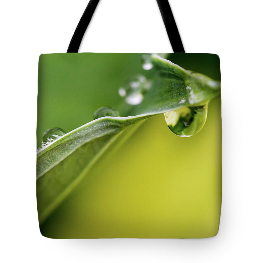Rain Drops Tote Bag featuring the photograph Green Yellow Rain Drops by Crystal Wightman