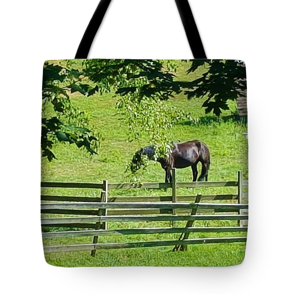 Meadows Tote Bag featuring the photograph Greenport 7 by Rob Hans