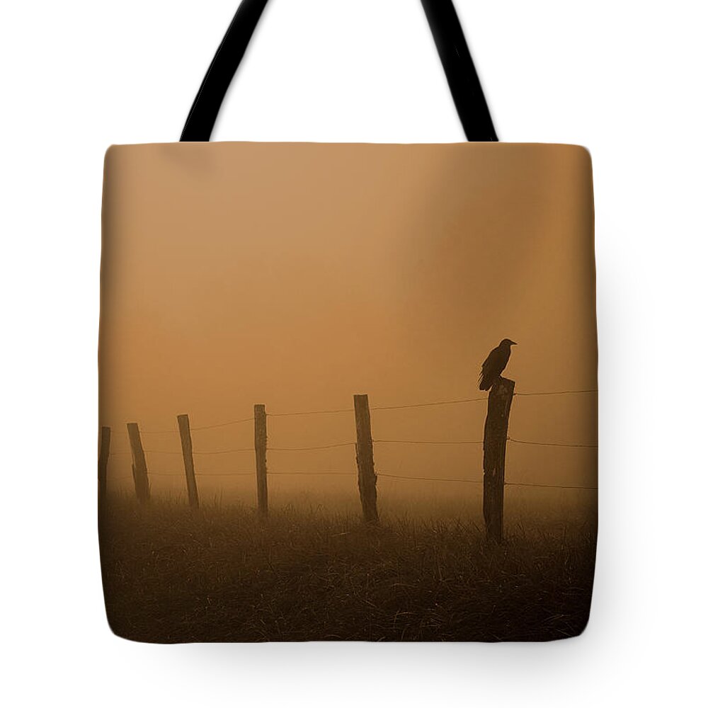 Crow Silhouette Tote Bag featuring the photograph Greeting The Morning by Michael Eingle