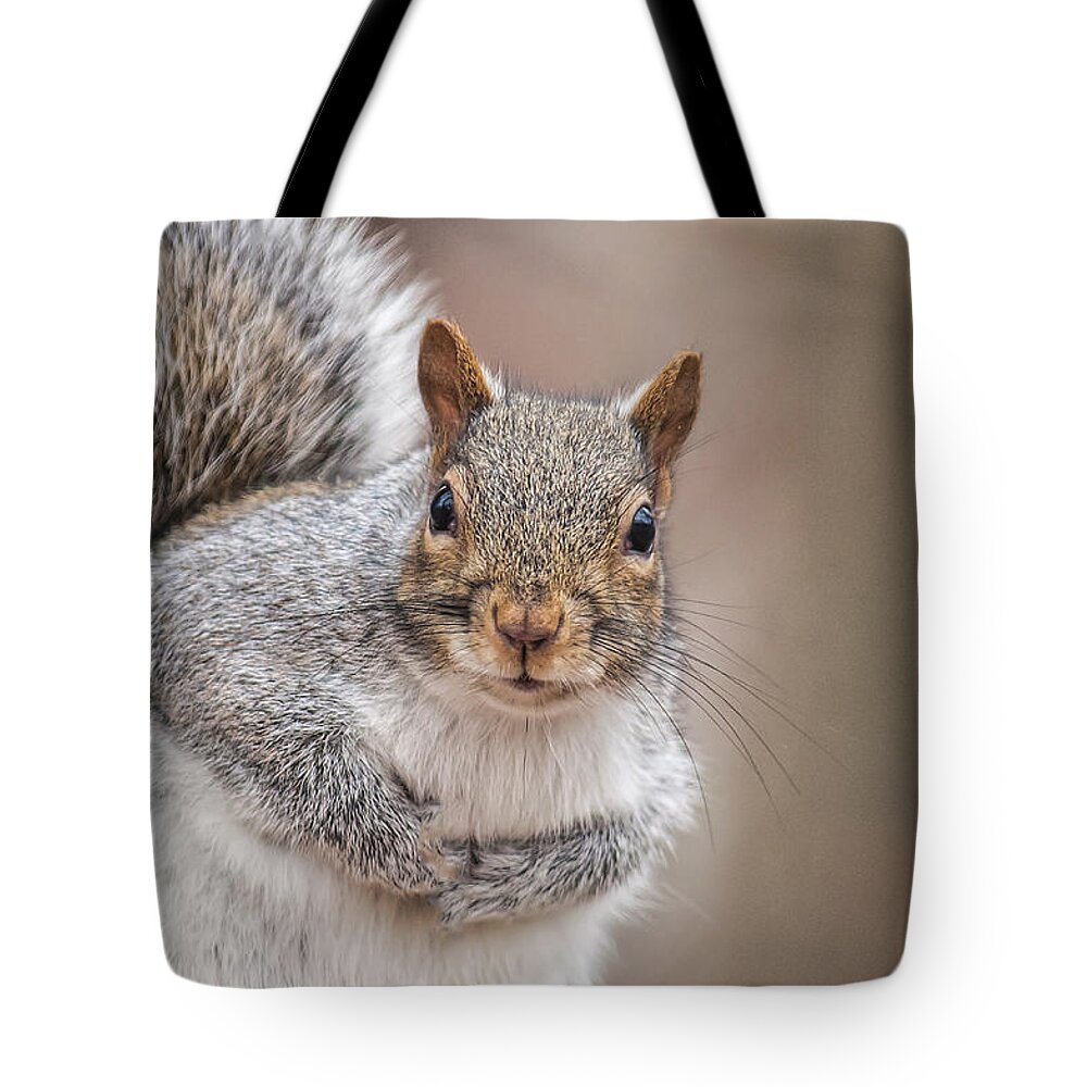Squirrel Tote Bag featuring the photograph Greetings by Cathy Kovarik