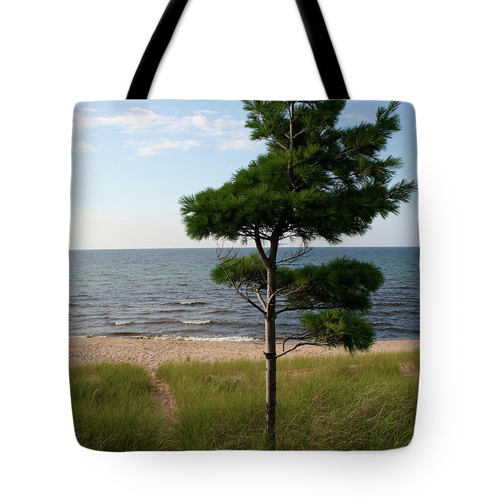 Greetings To The Beach Tote Bag featuring the photograph Greetings to the Beach by Dylan Punke