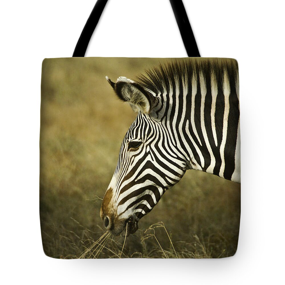 Africa Tote Bag featuring the photograph Grevy's Zebra by Michele Burgess