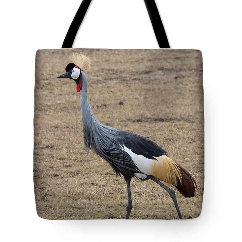 Cranes Tote Bag featuring the photograph Grey Crowned Crane in the Wild by Pravine Chester