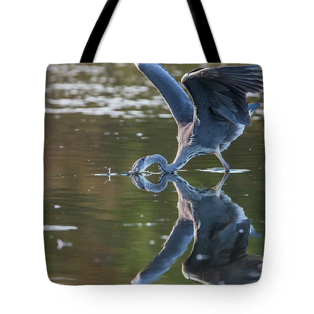 Grey Heron Tote Bag featuring the photograph Grey Herons Fishing in Action by Torbjorn Swenelius