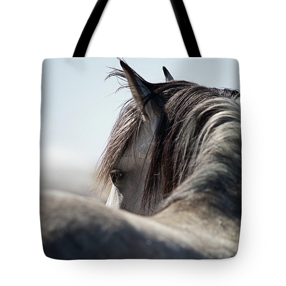 Terri Cage Photography Tote Bag featuring the photograph Grey Stallion by Terri Cage