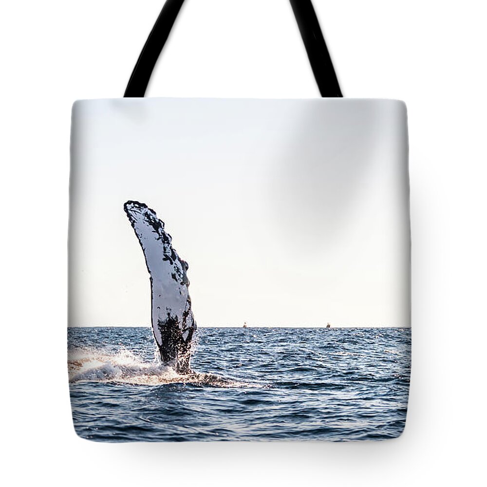 Grey Whale Tote Bag featuring the photograph Grey Whale Fin Gulf of Mexico by Charles McCleanon