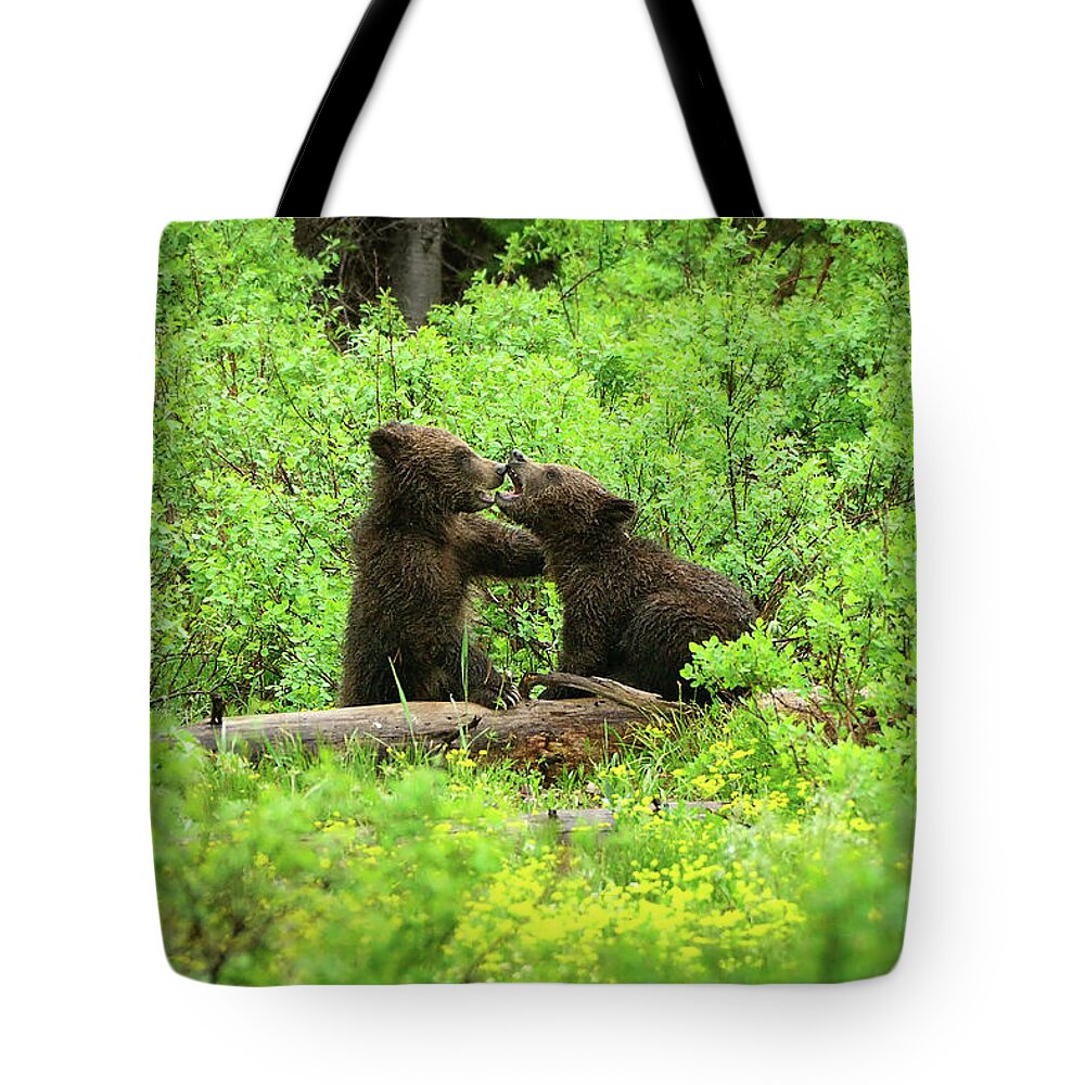 Grizzly Tote Bag featuring the photograph Grizzly Cubs At Play by Greg Norrell