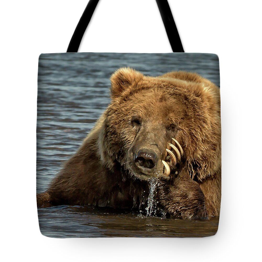 Grizzly Tote Bag featuring the photograph Grizzly Paws on display by Steven Upton