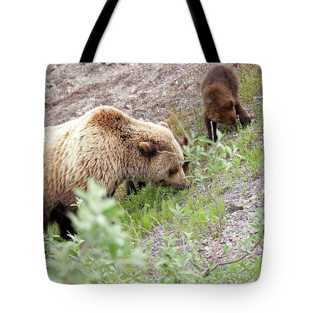 Bear Tote Bag featuring the photograph Grizzly Sow and Cubs by Jean Clark