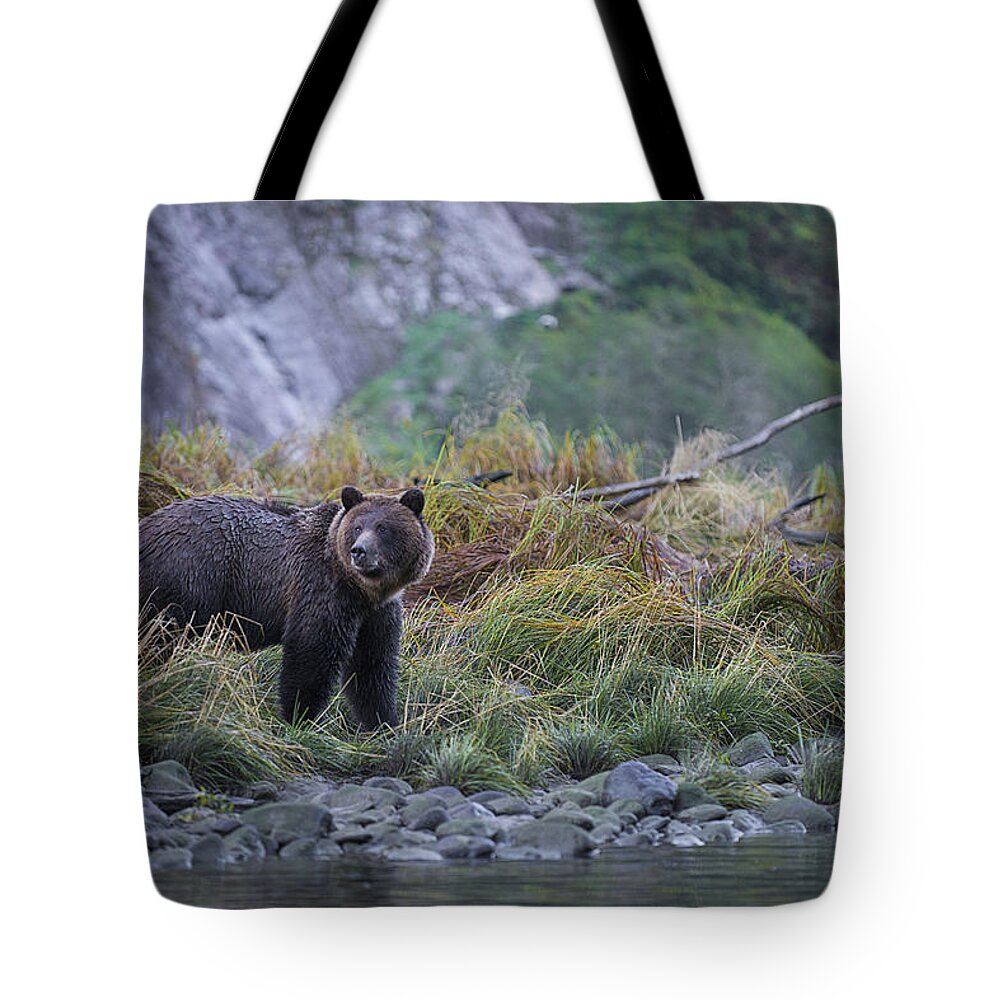 Bear Tote Bag featuring the photograph Grizzly Watching by Bill Cubitt