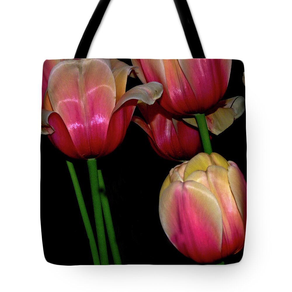 Tulip Tote Bag featuring the photograph Grouping ofPink and Yellow Tulips by Frances Ann Hattier