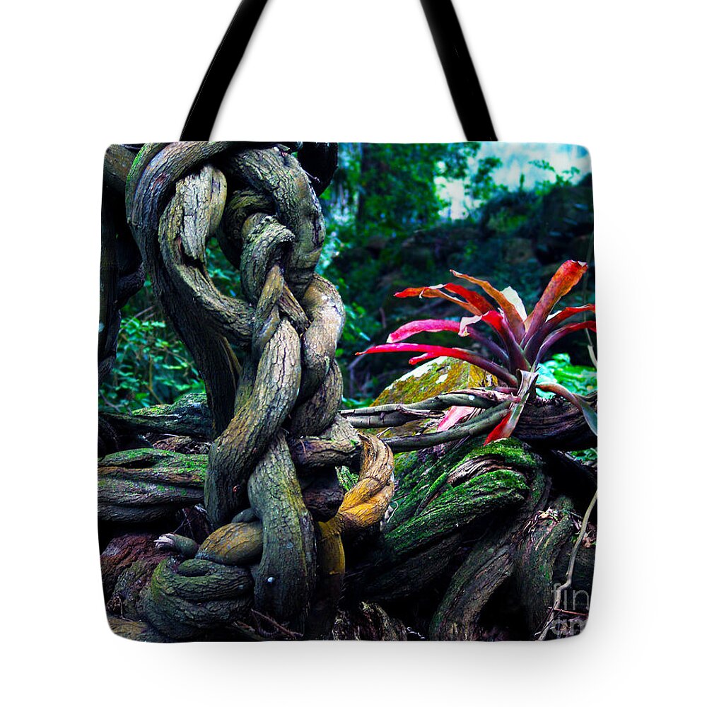 Plant Photography Tote Bag featuring the photograph Grow Where You're Planted II by Patricia Griffin Brett