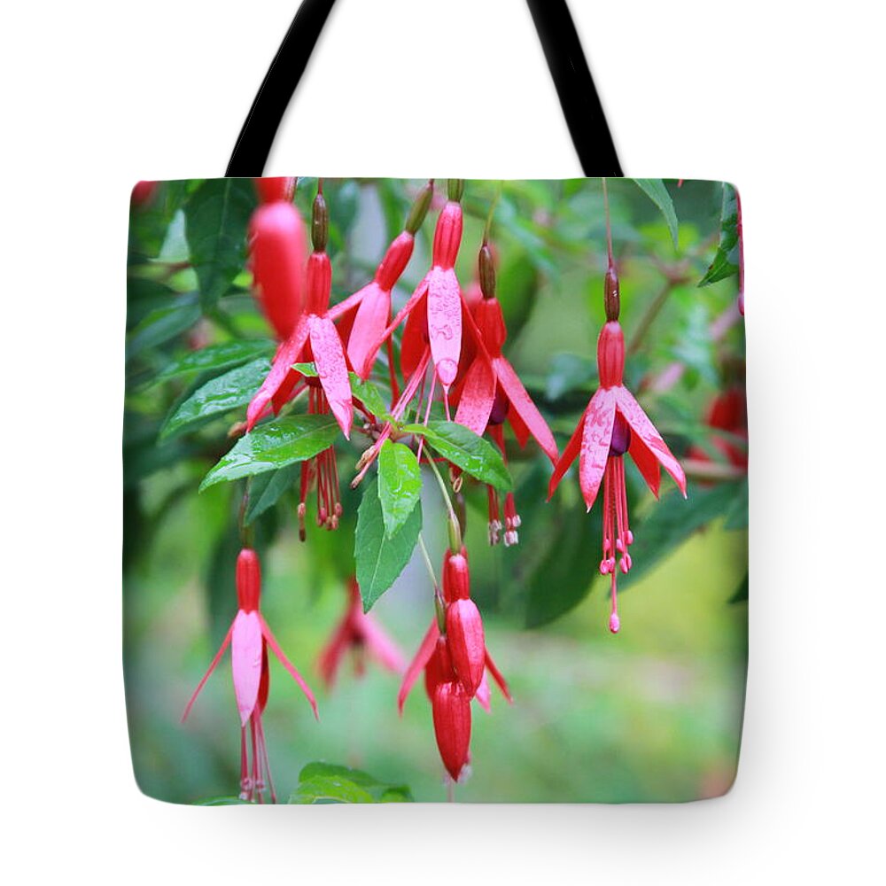 Fuschia Tote Bag featuring the photograph Growing in Red and Purple by Laddie Halupa
